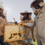 Fulfilling State Initiatives With Nature Programs