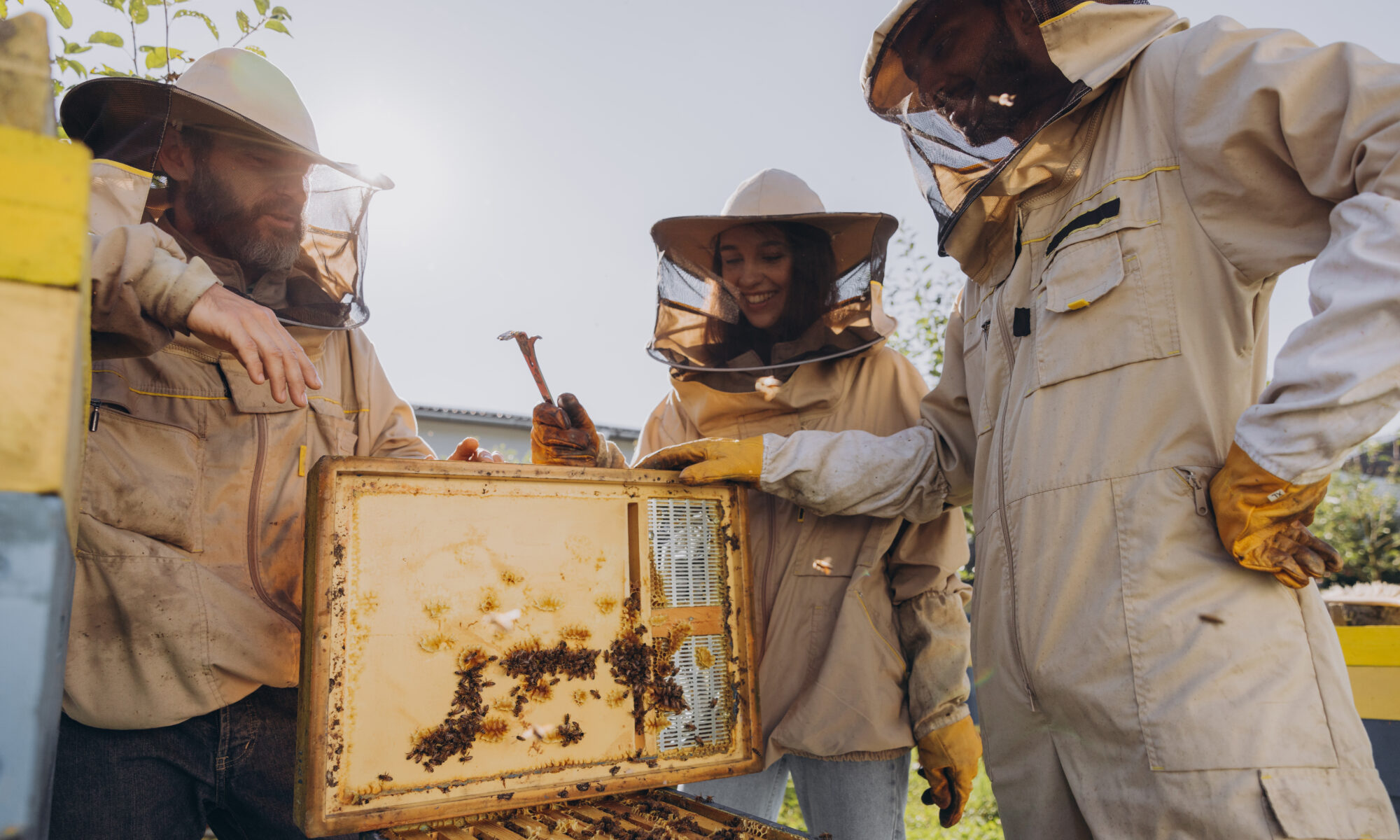 Fulfilling State Initiatives With Nature Programs