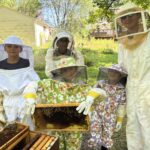 Using Professional Beekeeping To Meet State Environmental Goals